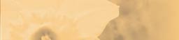 Trewinnard Holiday Cottages | Holiday Cottages near St Ives