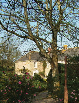 Grounds