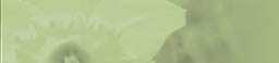 Trewinnard Holiday Cottages | Holiday Cottages Near Penzance