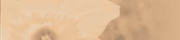 Trewinnard Holiday Cottages | Farm Cottage