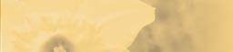 Trewinnard Holiday Cottages | Rent Cornish Cottage