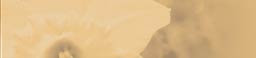 Trewinnard Holiday Cottages | Cornwall Holiday Cottages