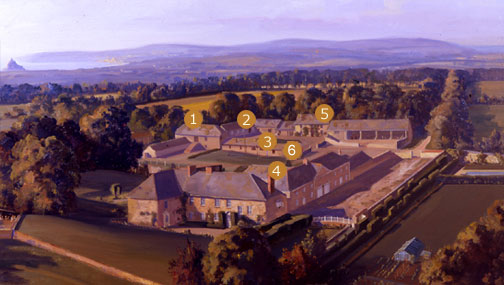 Trewinnard Grounds