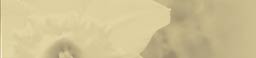 Trewinnard Holiday Cottages | Parlour Cottage